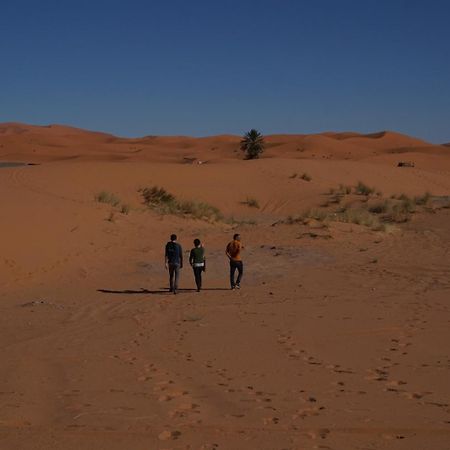 מלון מרזאוגה Bivouac Camel Trips מראה חיצוני תמונה