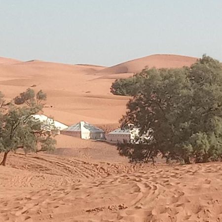 מלון מרזאוגה Bivouac Camel Trips מראה חיצוני תמונה