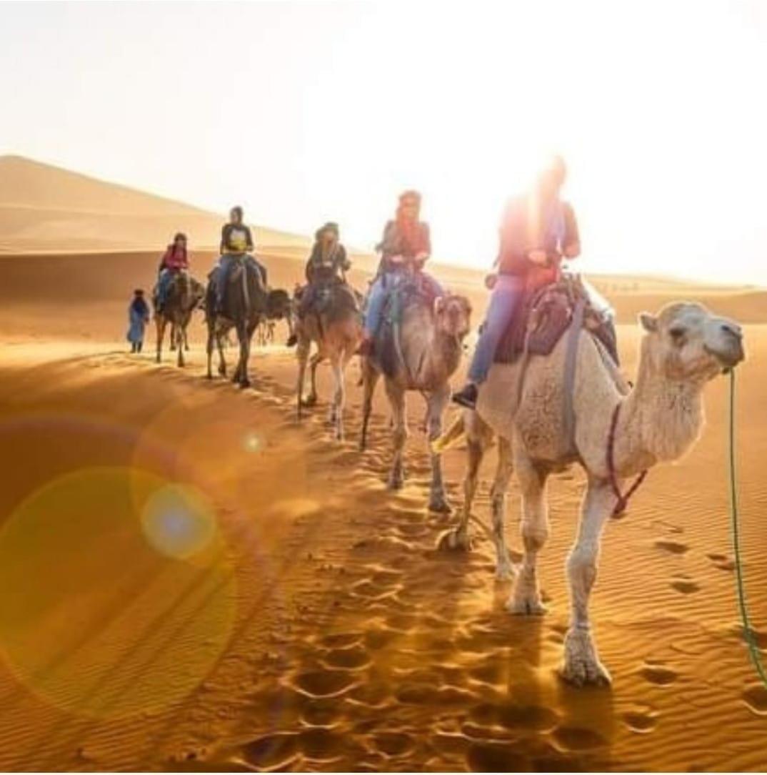 מלון מרזאוגה Bivouac Camel Trips מראה חיצוני תמונה