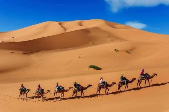 מלון מרזאוגה Bivouac Camel Trips מראה חיצוני תמונה