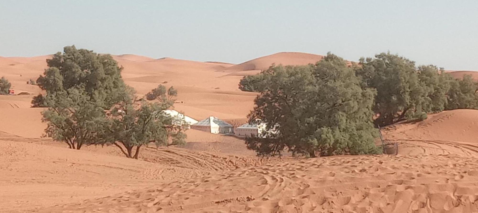 מלון מרזאוגה Bivouac Camel Trips מראה חיצוני תמונה