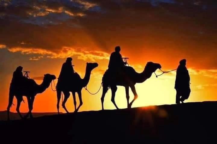 מלון מרזאוגה Bivouac Camel Trips מראה חיצוני תמונה
