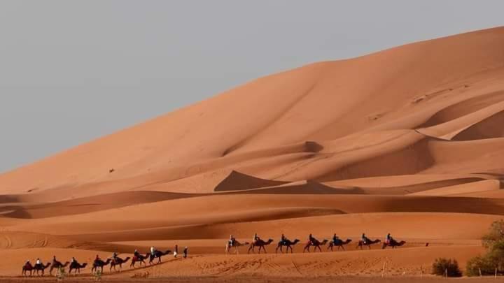 מלון מרזאוגה Bivouac Camel Trips מראה חיצוני תמונה