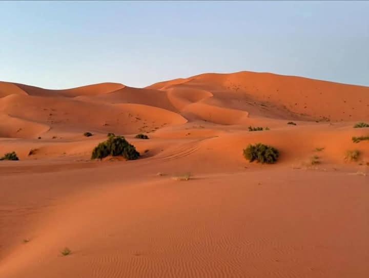 מלון מרזאוגה Bivouac Camel Trips מראה חיצוני תמונה