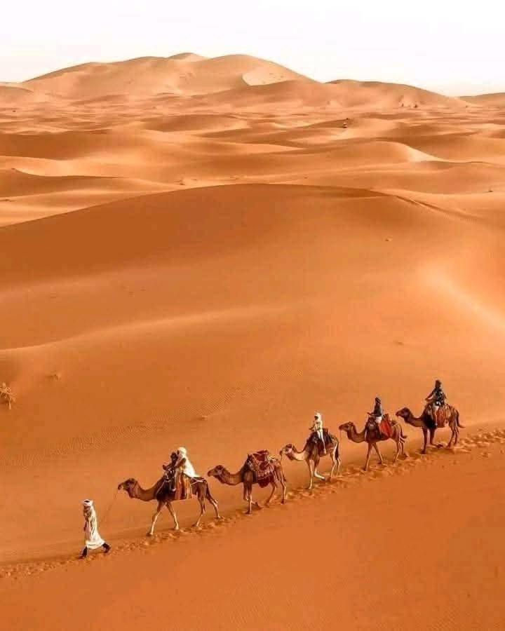 מלון מרזאוגה Bivouac Camel Trips מראה חיצוני תמונה