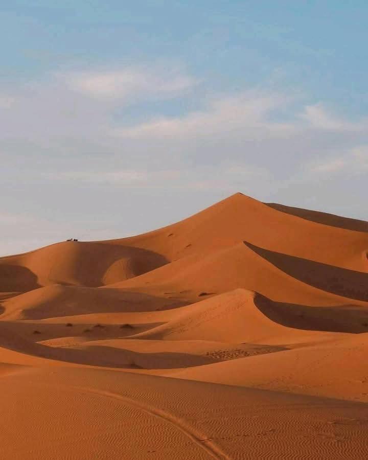 מלון מרזאוגה Bivouac Camel Trips מראה חיצוני תמונה