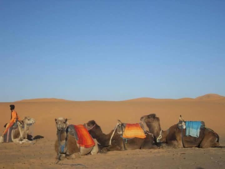 מלון מרזאוגה Bivouac Camel Trips מראה חיצוני תמונה