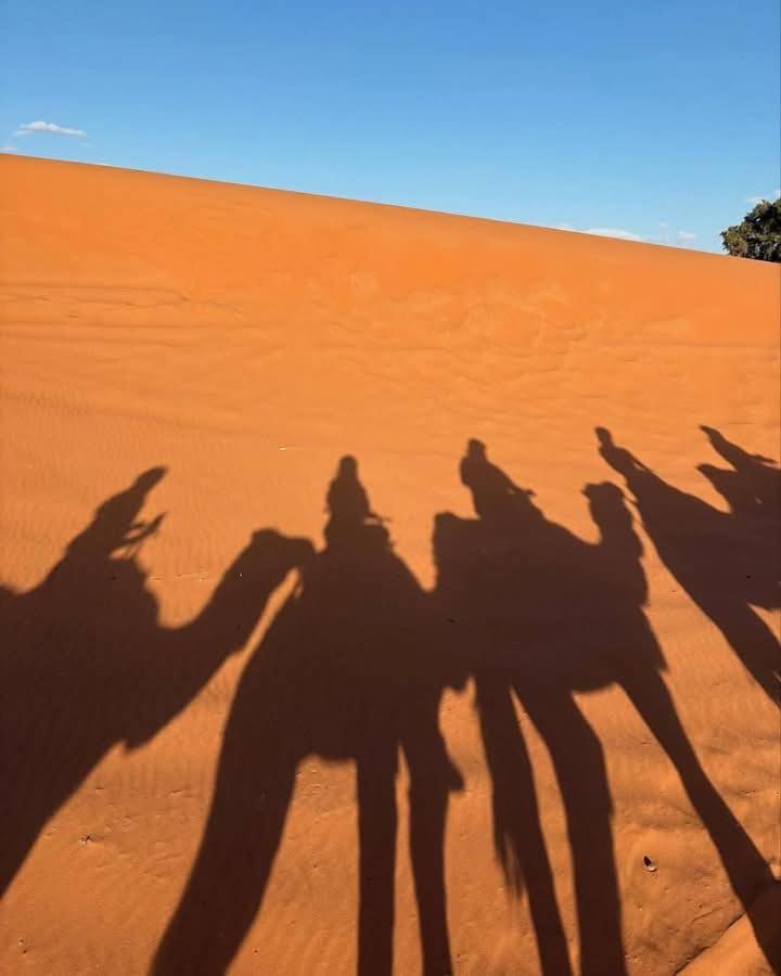 מלון מרזאוגה Bivouac Camel Trips מראה חיצוני תמונה
